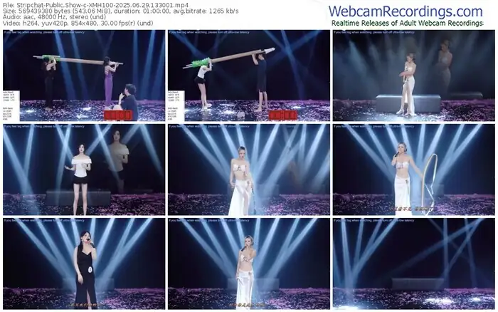 2025/06/29/stripchat-xmh100-13-30-01