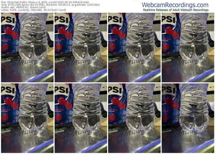2025/06/29/stripchat-d_skillz_would-09-44-18
