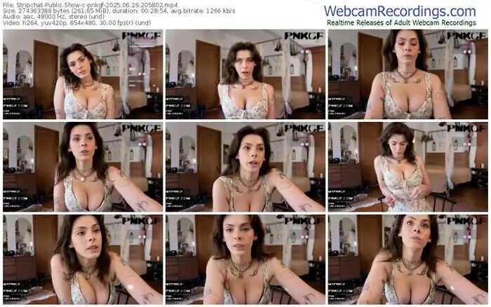 2025/06/29/stripchat-pnkgf-20-58-02