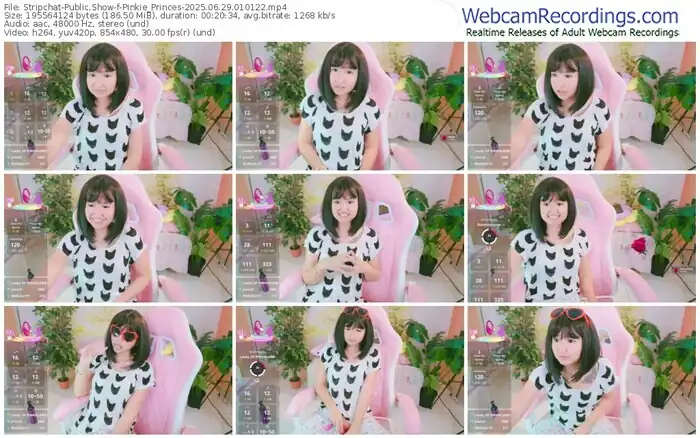 2025/06/29/stripchat-pinkie_princes-01-01-22