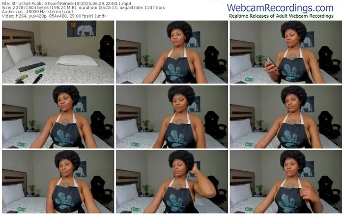 2025/06/29/stripchat-renee-18-22-46-11