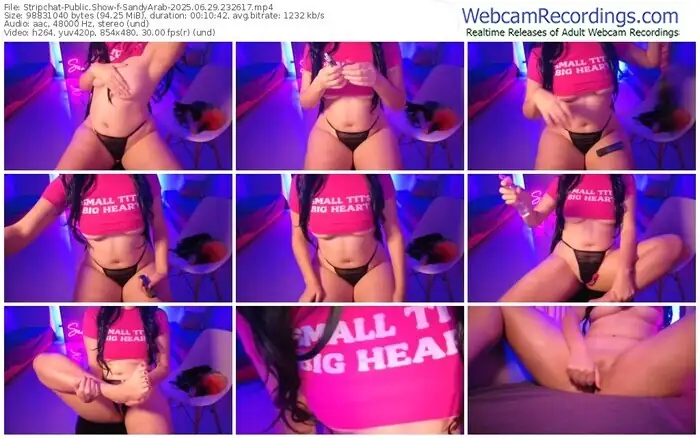 2025/06/29/stripchat-sandyarab-23-26-17