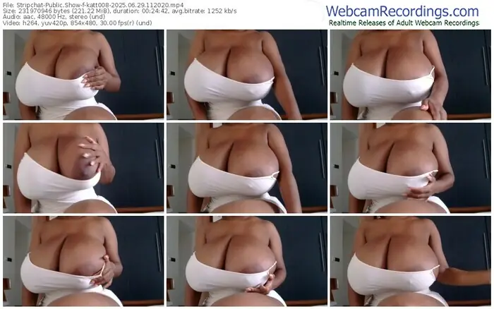2025/06/29/stripchat-katt008-11-20-20