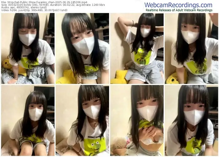 2025/06/29/stripchat-wanko_chan-18-52-06