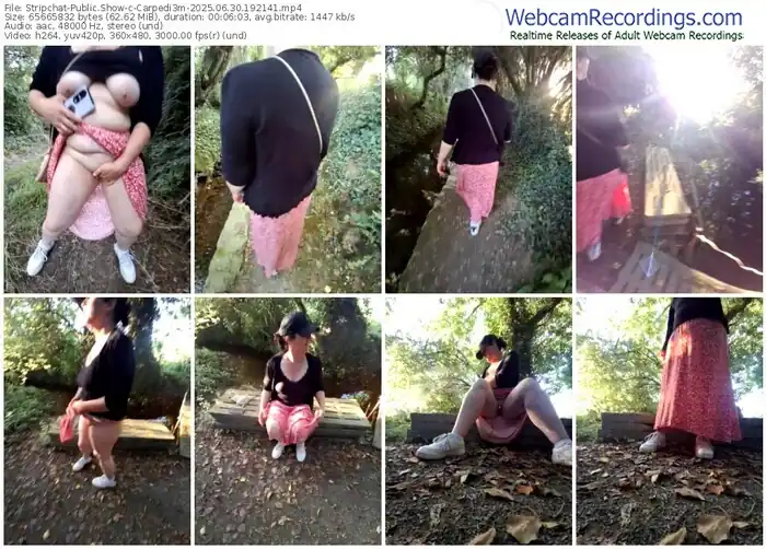 2025/06/30/stripchat-carpedi3m-19-21-41