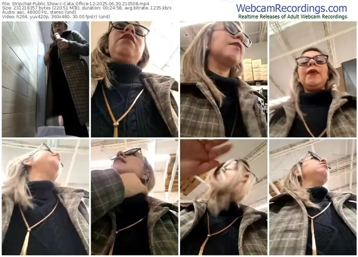 2025/06/30/stripchat-cata_office-12-21-05-08