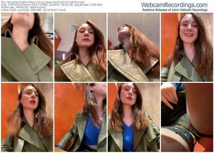 2025/06/30/stripchat-dina_tease-16-52-52