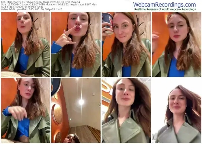 2025/06/30/stripchat-dina_tease-17-21-05