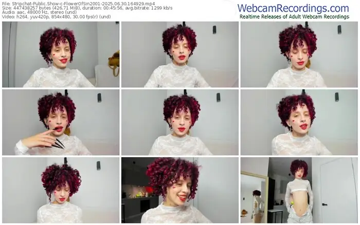 2025/06/30/stripchat-flowerofsin2001-16-49-29