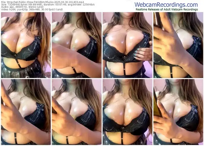 2025/06/30/stripchat-wildbitchfucks-19-14-03