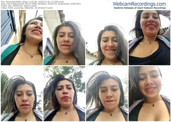 2025/07/01/stripchat-liz-06_-17-15-39