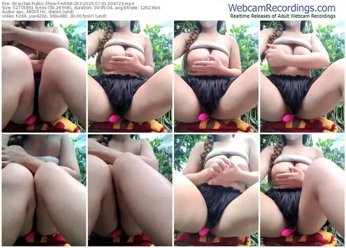 2025/07/01/stripchat-hana-zk3-00-47-23