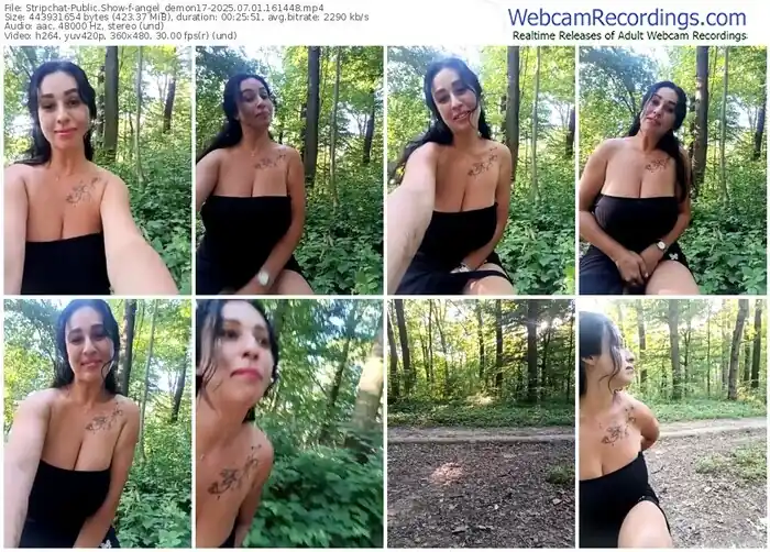 2025/07/01/stripchat-angel_demon17-16-14-48