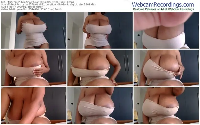2025/07/01/stripchat-katt008-12-09-14