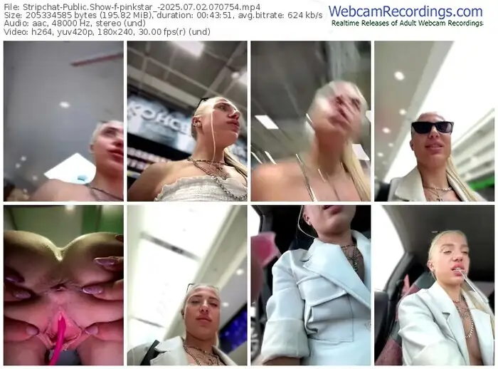 2025/07/02/stripchat-pinkstar_-07-07-54