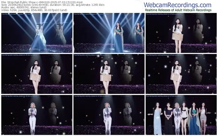 2025/07/03/stripchat-xmh100-15-13-31