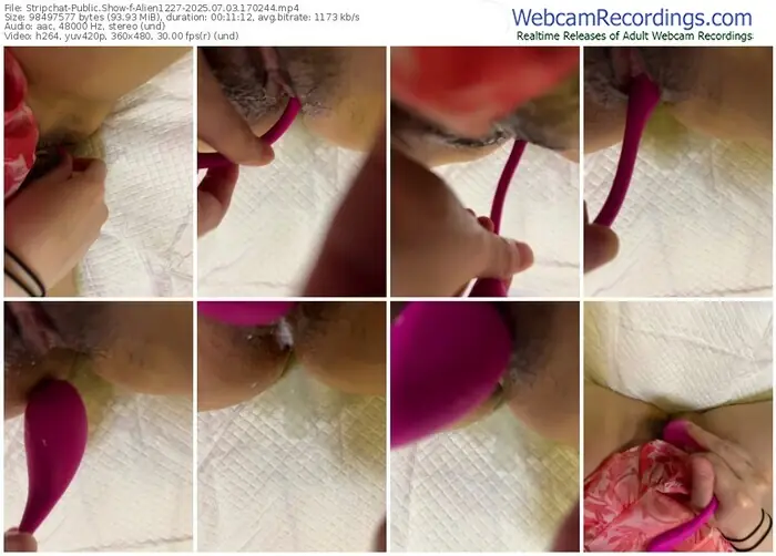 2025/07/03/stripchat-alien1227-17-02-44