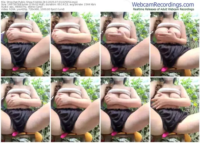 2025/07/03/stripchat-hana-zk3-02-50-54