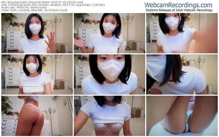 2025/07/03/stripchat-jp-shiho-13-52-32