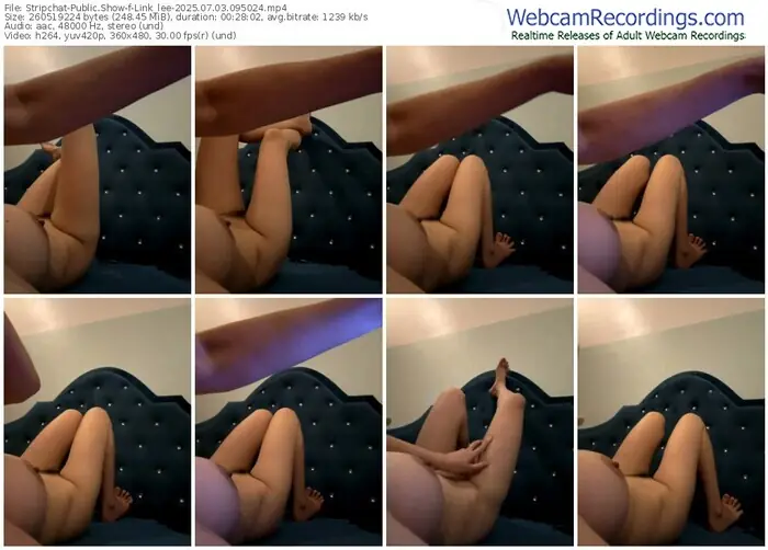 2025/07/03/stripchat-link_lee-09-50-24