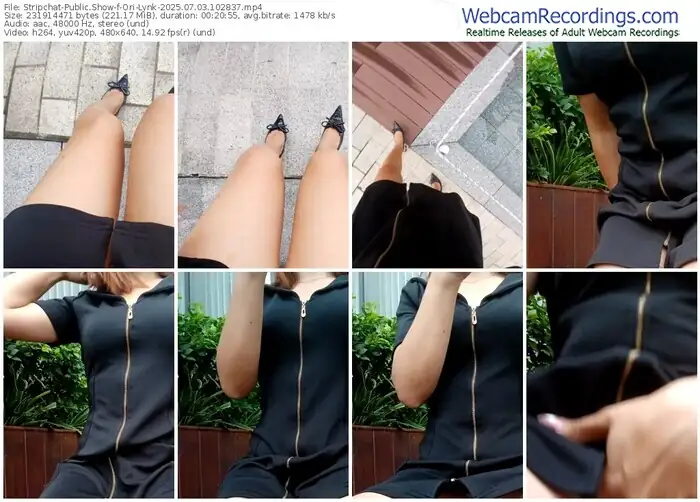 2025/07/03/stripchat-ori-lynk-10-28-37