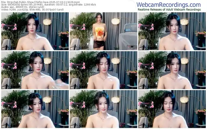 2025/07/03/stripchat-feifei-love-11-32-29
