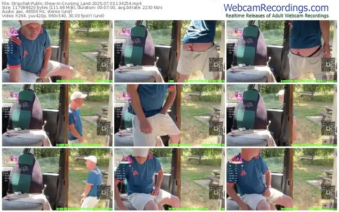 2025/07/03/stripchat-cruising_land-13-42-54