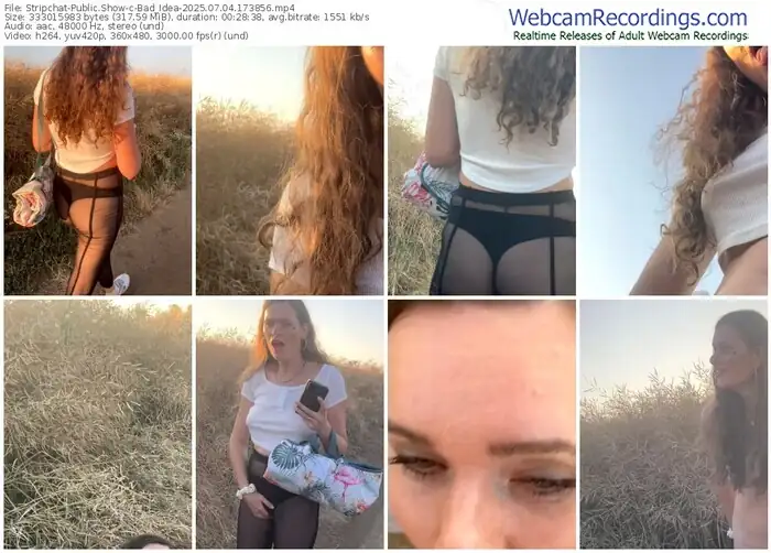 2025/07/04/stripchat-bad_idea-17-38-56