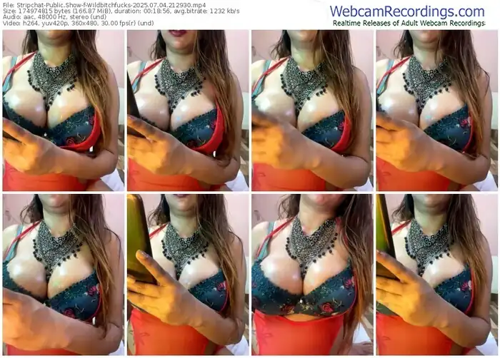 2025/07/04/stripchat-wildbitchfucks-21-29-30