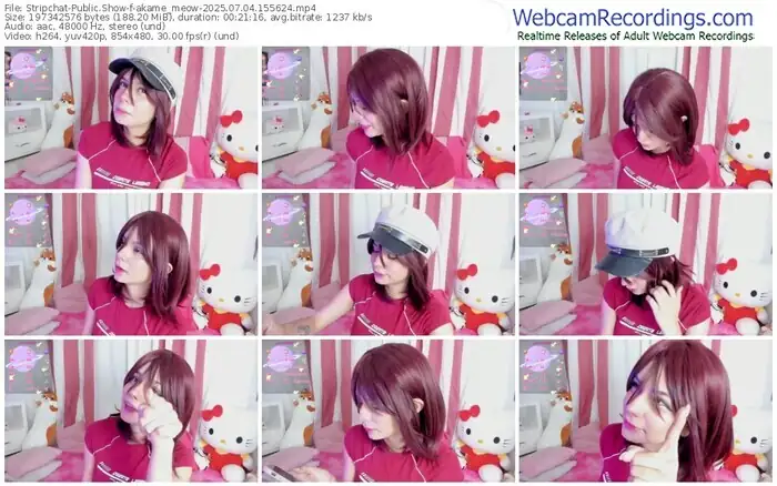 2025/07/04/stripchat-akame_meow-15-56-24