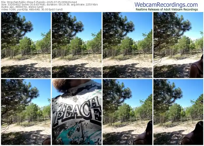 2025/07/05/stripchat--pupsiki--06-56-29