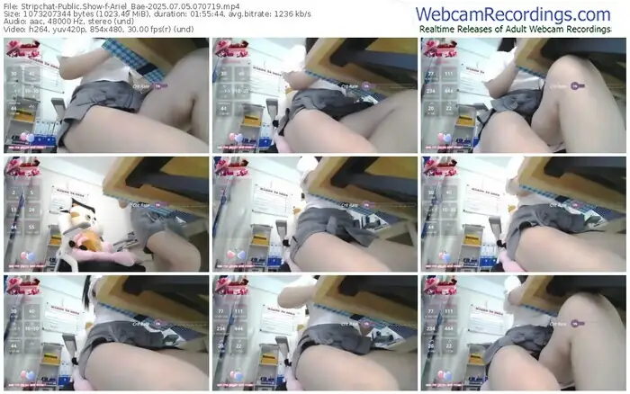 2025/07/05/stripchat-ariel_bae-07-07-19