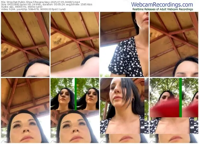 2025/07/05/stripchat-roxana-sexy-04-48-15