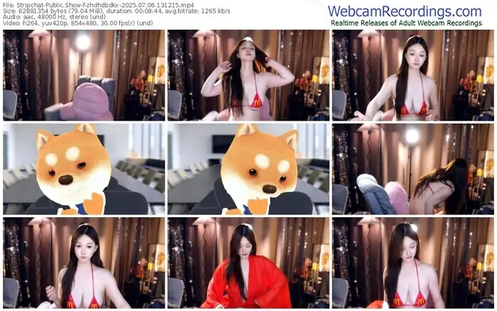 2025/07/06/stripchat-zhdhdbdkx-13-12-15
