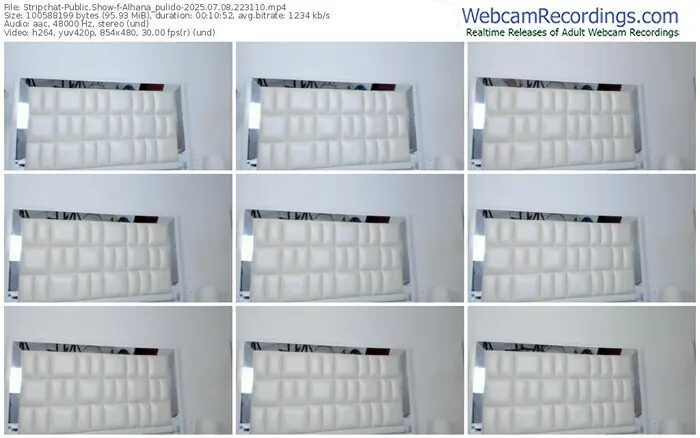 2025/07/08/stripchat-alhana_pulido-22-31-10