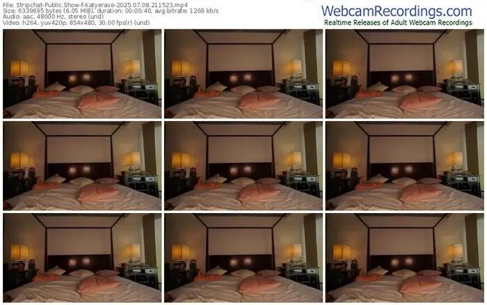 2025/07/08/stripchat-katyerave-21-15-23