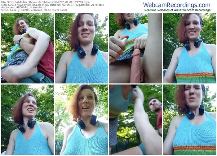 2025/07/09/stripchat-exhibitionsplit-17-27-39