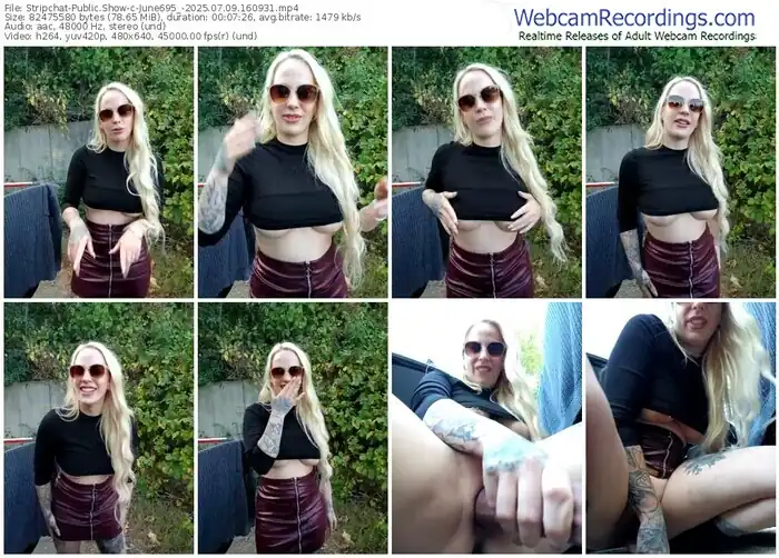 2025/07/09/stripchat-june695_-16-09-31