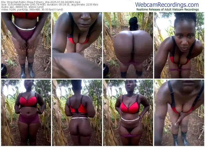 2025/07/09/stripchat-sherry_she-04-28-05