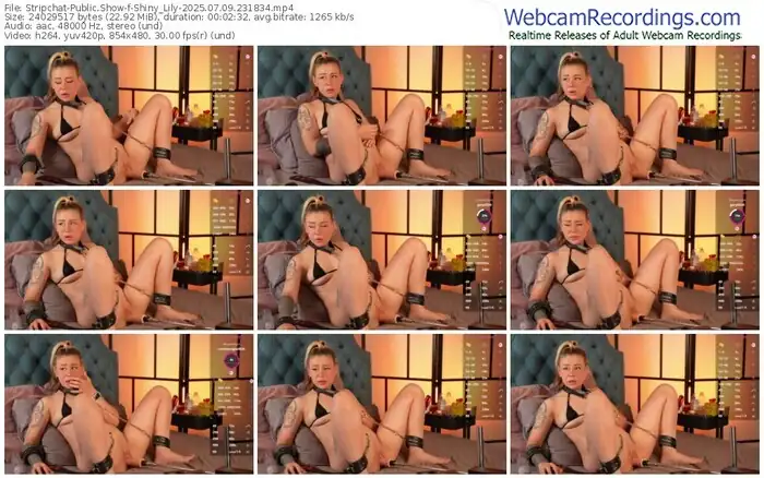 2025/07/09/stripchat-shiny_lily-23-18-34