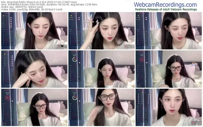 2025/07/09/stripchat-uu-1314-17-36-47