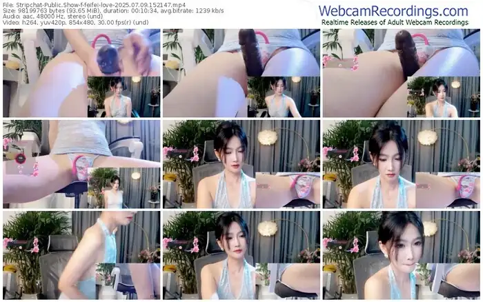 2025/07/09/stripchat-feifei-love-15-21-47