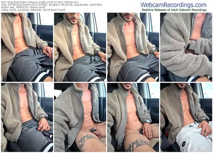 2025/07/09/stripchat-zeefy-17-40-59