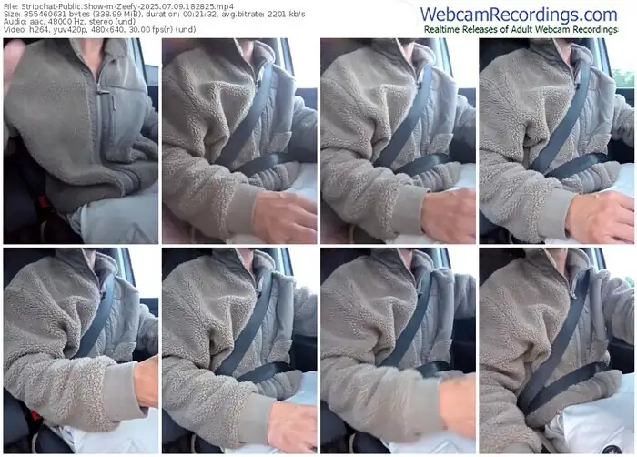 2025/07/09/stripchat-zeefy-18-28-25