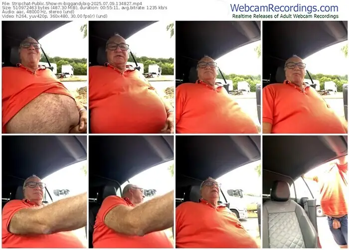 2025/07/09/stripchat-biggandybig-13-48-27