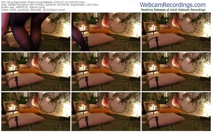 2025/07/10/stripchat-scarletblaze-22-32-37