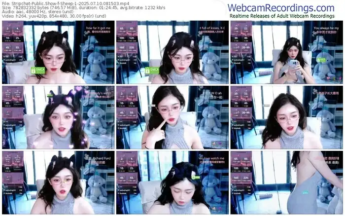 2025/07/10/stripchat-sheep-1-08-15-03