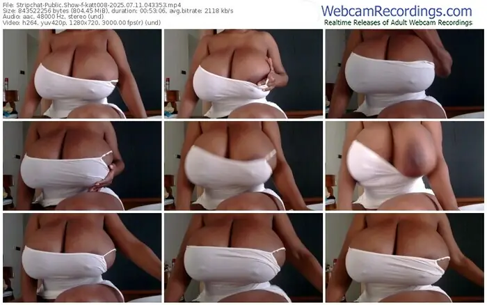 2025/07/11/stripchat-katt008-04-33-53