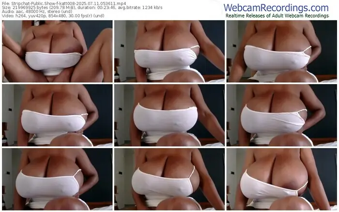 2025/07/11/stripchat-katt008-05-36-11