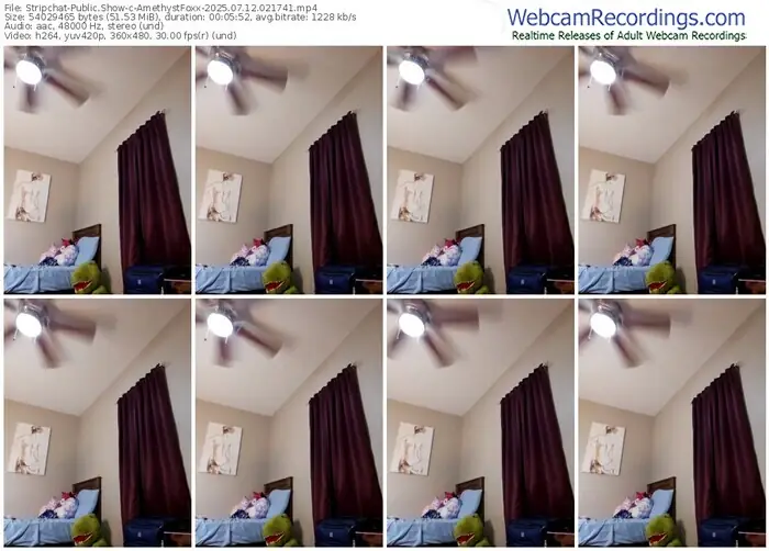 2025/07/12/stripchat-amethystfoxx-02-17-41